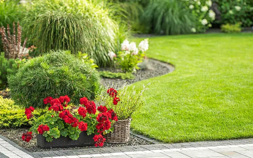 Gartenpflege in Langenfeld